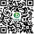 暴操大肥老骚逼